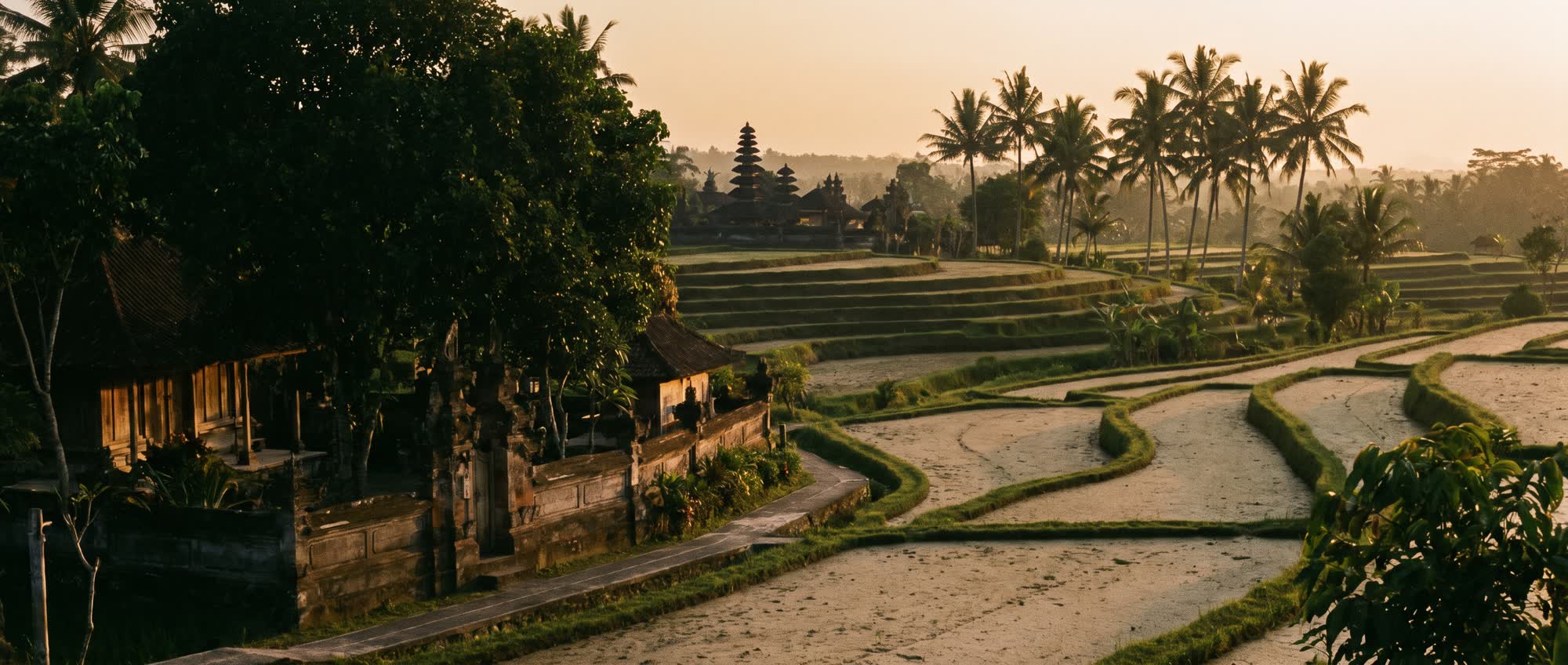 Terraced green Bali landscape falling away towards a hazy horizon, with palms and a distant temple roofline in late afternoon light.