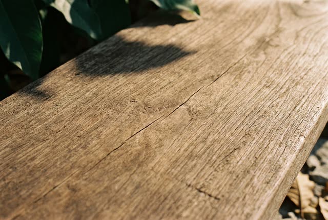 Close detail of aged teak grain in low raking light.