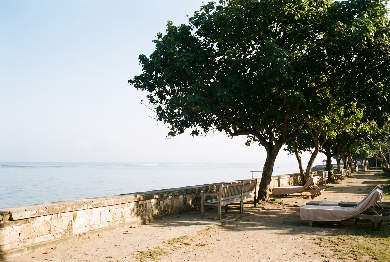 A calm waterfront path in Sanur in bright morning light, with a low sea wall and mature trees casting shade.