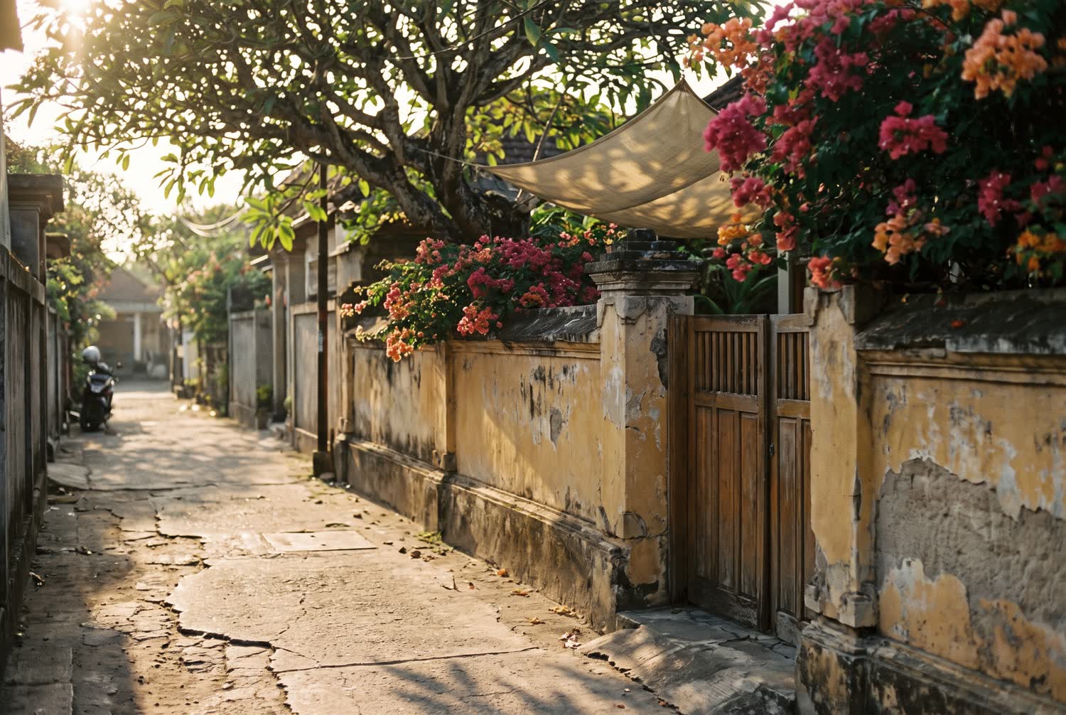 A quiet lane in Seminyak with bougainvillea spilling over a low wall and dappled shade across the paving.